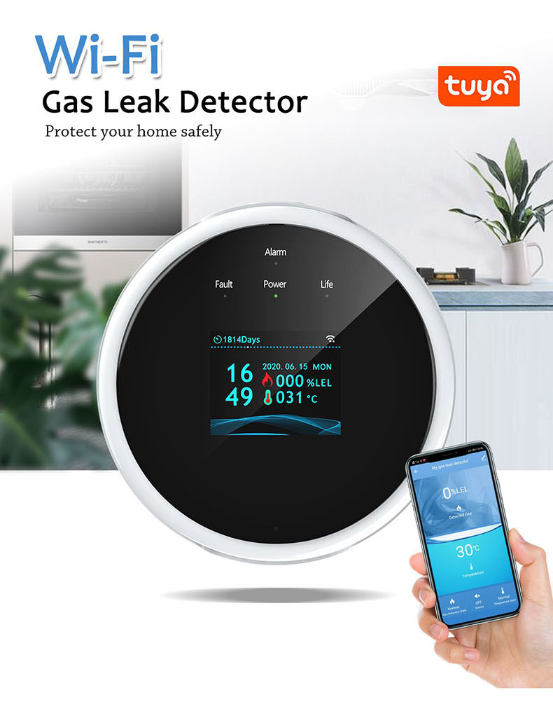 awsometek-Wifi-Device- Stand-alone- Natural- Gas-Detector.jpg